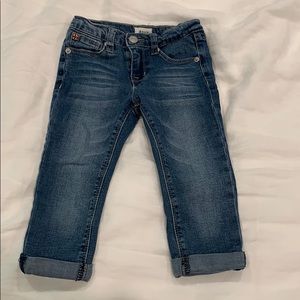 Hudson Skinny Crop Jeans